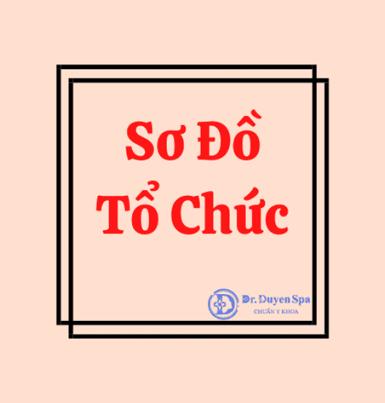 Cơ sở 3